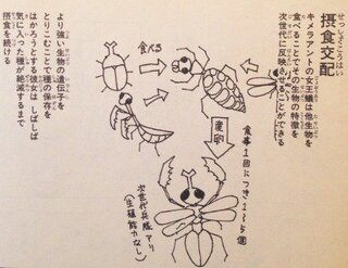 ハンター ハンターのキメラアントという生物は設定に無理があり Yahoo 知恵袋