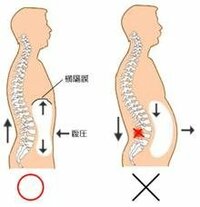 私は足や腕は綺麗なのに お腹だけまるで別人の様に太いです どれほど太いという Yahoo 知恵袋