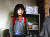 ワイルド ヒーローズ の初回視聴率9 7 の低視聴率でした 芦田愛菜ちゃ Yahoo 知恵袋