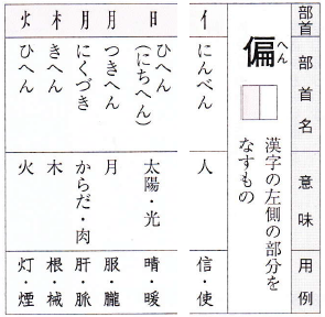 臓器の名前ってなぜ月偏が多いんですか 肺 肝臓 膵臓 膀胱 Yahoo 知恵袋