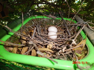 男性の心理 突然冷たくなる人はどんな理由からですか 冷たくされる Yahoo 知恵袋