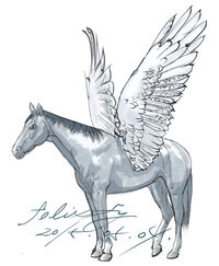 中1女子です 体育祭のクラスの旗を作る係になったのですが クラスごとに白 赤 Yahoo 知恵袋