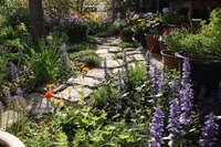 庭の土作りについて質問です 新築をして 南面の土地 13メートル 3メー Yahoo 知恵袋