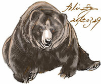 熊のイラスト画ありませんか 怒っている感じ 子供っぽいイラスト画ではあり Yahoo 知恵袋