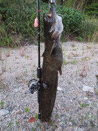 ブラックバス釣りについてです 大阪市平野区に住んでいます Yahoo 知恵袋