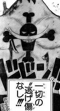 ワンピースについて質問です白ひげが死んだ時の一切の逃げ傷無しの 