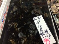 釣り餌のムラサキイガイが格安で入手できるお店を教えてください。サイズは... - Ans 360041200?w=200&h=200&up=0