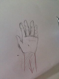 手の描き方について左手を描いたのですがなんか違和感があります 右手にも Yahoo 知恵袋