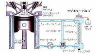 回答の画像