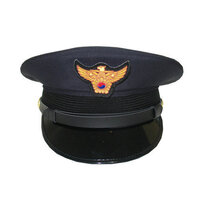 韓国映画などで登場する韓国の警察がかぶっている帽子のマークは鳥みた Yahoo 知恵袋