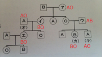わからない問題があるのですが 生物でabo式血液型の遺伝を示したも Yahoo 知恵袋