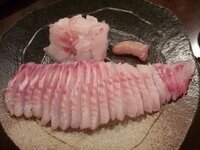 イシダイって美味しいんですか 磯臭いですか 高級魚でそんなに釣 Yahoo 知恵袋