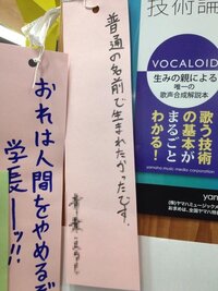 キラキラネームは 子供は迷惑ですか 子供が大きなって叔父叔母でもキラキラネー Yahoo 知恵袋