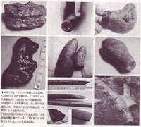 猿人原人新人から人類の進化と脳の容積はどのような関係が読み取られるか説明 Yahoo 知恵袋