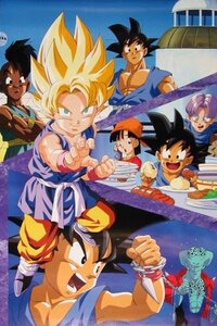 ドラゴンボールgtなんですけど 孫悟空って界王に尻尾を着けてもらったん Yahoo 知恵袋