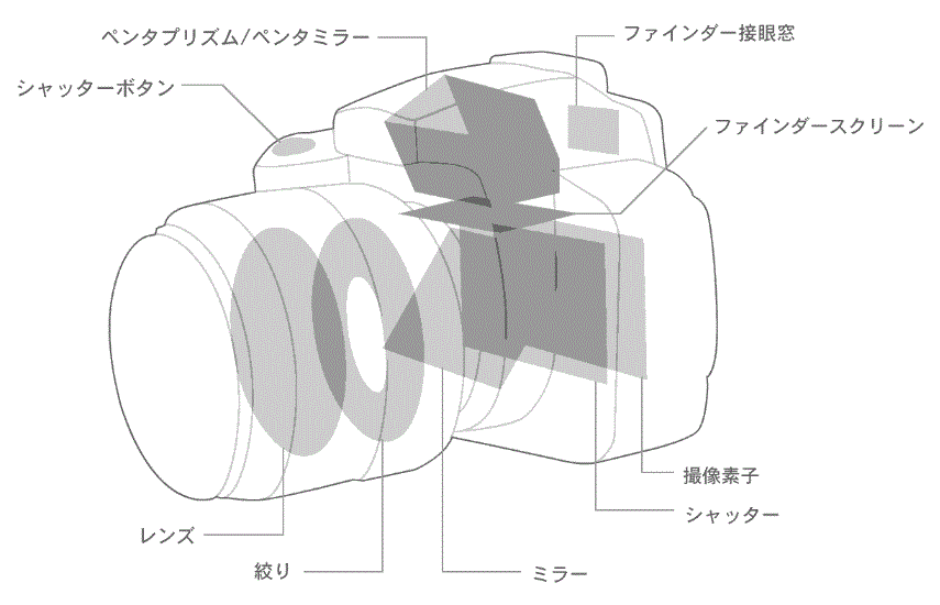 レンズ(ズーム) 28-200mm F/2.8-5.6 Di III RXD カメラについて、ミラーがないのはミラーレスカメラというけれど逆は