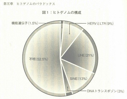 人類の進化について科学的な面から教えてください。よく「ヒトは元々