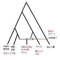 口を動かさないでウインク出きる人は縄文系の顔立ちというのは本当ですか 私はウ Yahoo 知恵袋