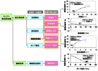 回答の画像