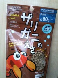 生水域に近い河川敷で捕まえたカニです なんていう種類ですか エサは何を与 Yahoo 知恵袋