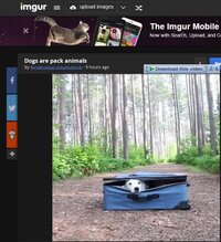 インターネットエクスプローラーでimgurの画像が見れません Yahoo 知恵袋