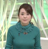 ｎｈｋ橋本奈穂子アナウンサーは巨乳ですか 巨乳ですね 橋本奈穂 Yahoo 知恵袋