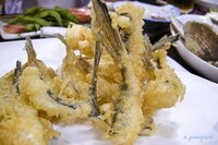 キスの天ぷらとメゴチの天ぷら どちらがおいしいですか メゴチ天を食べた Yahoo 知恵袋