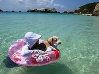 本土から沖縄へ来た人は なぜ水着で泳ぐのでしょう 沖縄 Yahoo 知恵袋