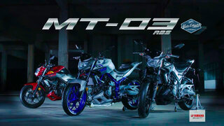 ヤマハmt 25とmt 03だったら 車検があることを考慮すると2 Yahoo 知恵袋