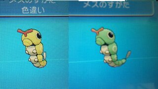 ポケモン色違いのキャタピーの色って黄色なんですか 黄金 金色 Yahoo 知恵袋