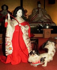 江戸時代の日本の犬種って 柴犬 秋田県 土佐犬位のものでしたか Yahoo 知恵袋