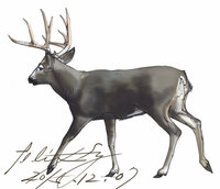 デッサンで 特に鹿と馬が描きたいのですが オススメの描き方の本てあ Yahoo 知恵袋