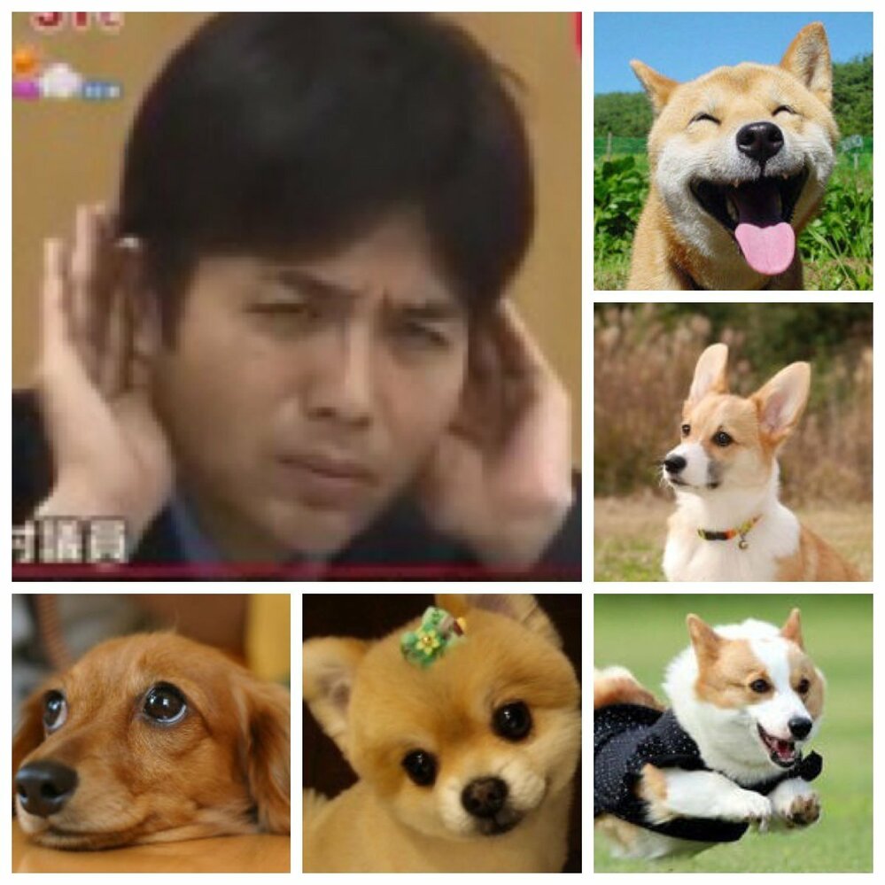 霊感強い方に質問です 子供や動物は霊が見えたり感じたりすると言います Yahoo 知恵袋