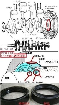 回答の画像