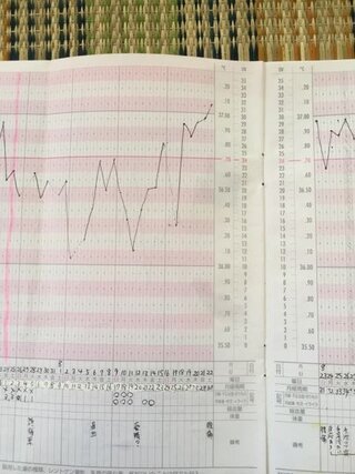 いつもより高温期が低いです 妊娠はありえませんか いつもの高温期は36 Yahoo 知恵袋