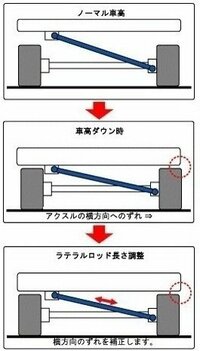 回答の画像