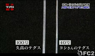 大間のマグロ一本釣りは 何号くらいのラインを使用してるのでしょうか 一 Yahoo 知恵袋