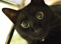 それなら おしとねすべりを申し出る とエリカ様がお殿様にピロートーク Yahoo 知恵袋