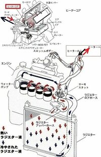 回答の画像