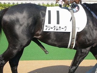 パドックで勃起している牡馬を見たことありますか 有名なところで ピル Yahoo 知恵袋