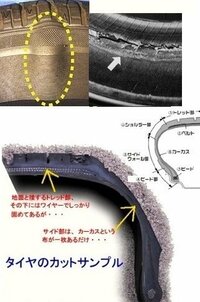 回答の画像