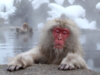 50ドルって日本円でいくらですか 今日のレートで１ドルが１１２ Yahoo 知恵袋