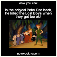 ピーターパンについてです 原作の小説と ディズニーの映画ではあらすじ Yahoo 知恵袋