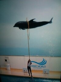 水族館についてお尋ねします マリンワールド海の中道 福岡県 Yahoo 知恵袋