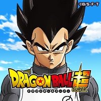 最近の朝放送のドラゴンズボールで ベジータがブルマの事に関して言ったセリフの意 Yahoo 知恵袋