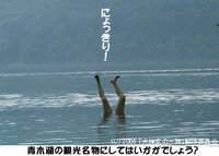 長野県の青木湖でヒメマス釣りをしてみたいと思っています ボートでのサビキ釣りを Yahoo 知恵袋