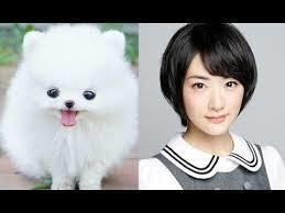 生駒ちゃんとギガちゃんだったら どっちが可愛いですか Yahoo 知恵袋