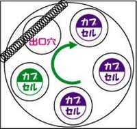 ガチャガチャについて教えてください 0円入れて回すガチャガチャがあり Yahoo 知恵袋