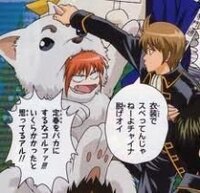 銀魂の沖田と神楽はケンカするようになったのは いつからですか 教 Yahoo 知恵袋