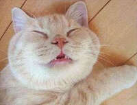 映画の中の名シーン 名セリフといえば 自分はターミネーター2 Yahoo 知恵袋